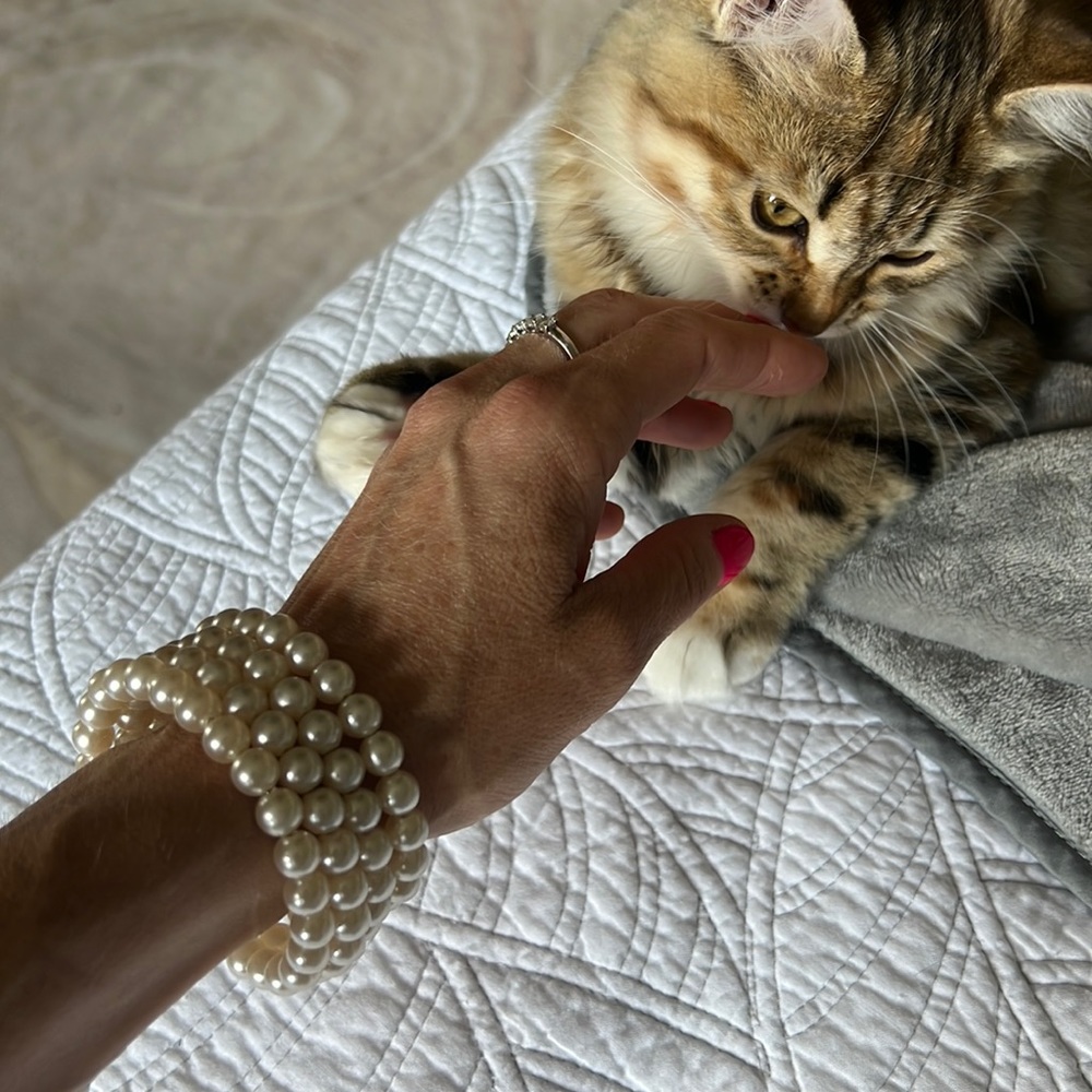 Faux Pearl bracelet and choker.